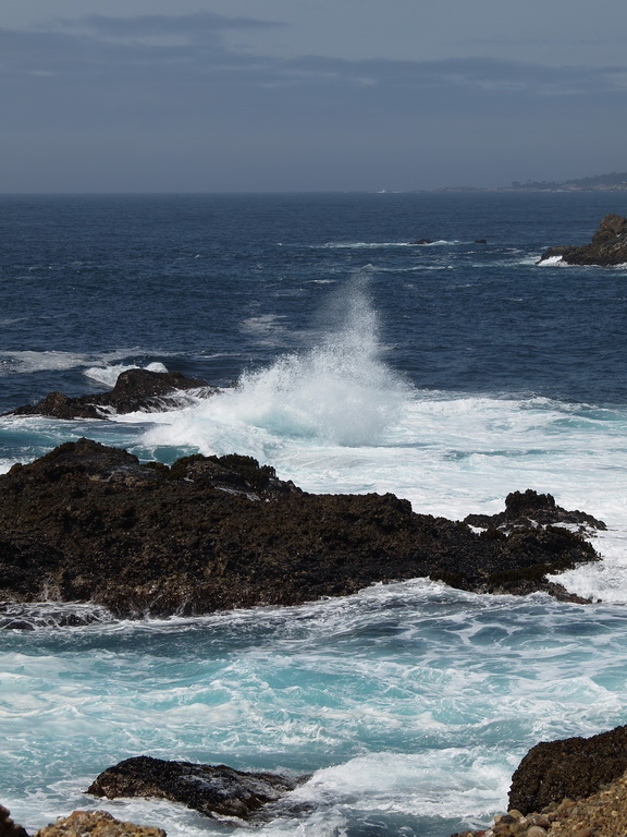 Point Lobos. 